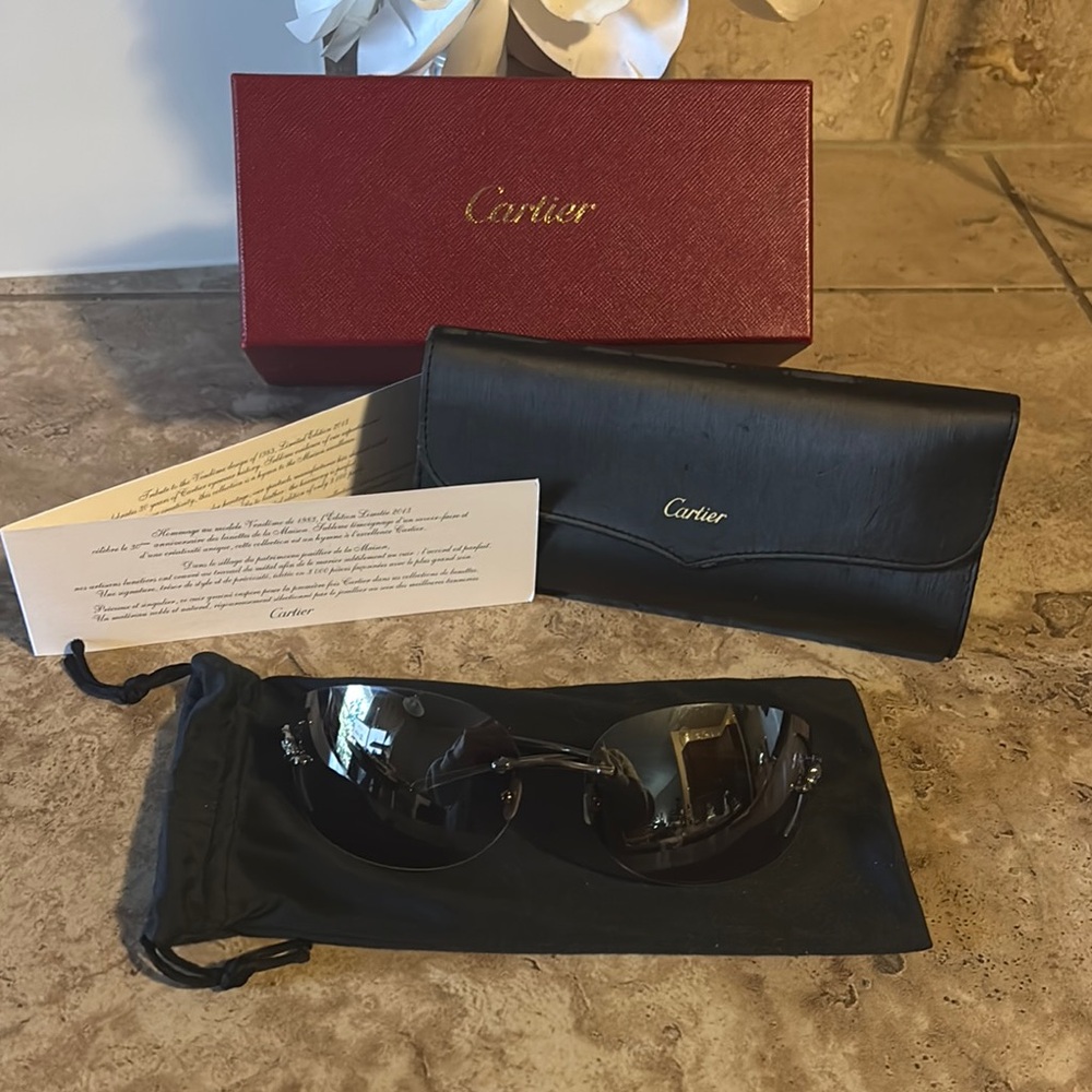 Cartier Black Sunglasses with Modern Design and Protective Case